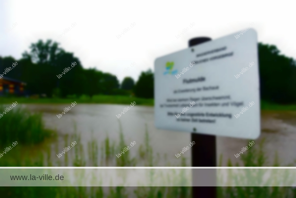 Flutmulde Bornheimer Bach