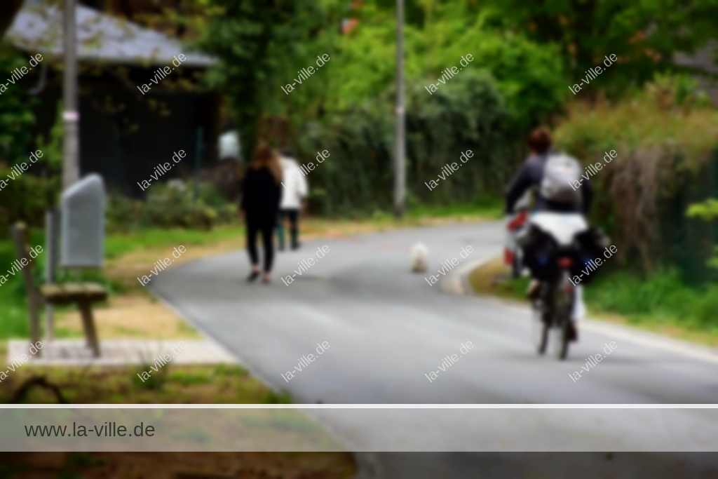Eine Gruppe von Menschen fährt mit dem Fahrrad auf einer asphaltierten Straße.